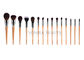 sistema de cepillo profesional del equipo/belleza profesional de la colección del cepillo del maquillaje 15Pcs