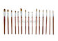 Sistema de cepillos de madera de la acuarela del sistema de cepillos de pintura corporal de los artistas de la escuela con la caja de lápiz