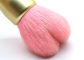 El polvo rosado lindo de la forma del corazón/se ruboriza cepillo del maquillaje con el pelo de la cabra de la naturaleza