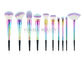 Sistema de cepillo hermoso del maquillaje de la fibra de la naturaleza de las PC del arco iris 10 para el salón y el uso diario